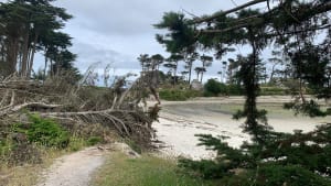 Van Roscoff, tussen land en zee, naar Pointe de Perharidy - Roscoff - 10