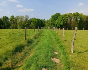 Joli parcours entre saint aubin Épinay et Franqueville - Gerard - 5