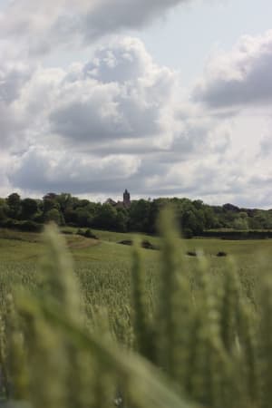 De lussen van Cassel bij Château Masson - Bavinchove - 6