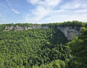 Reculée de Blois-sur-Seille - Blois-sur-Seille - 20
