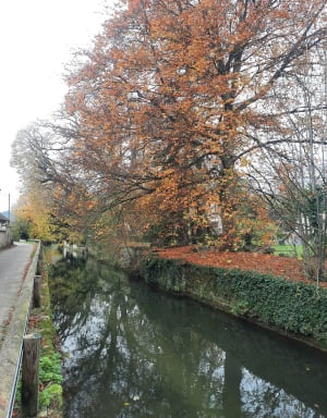 Entre monts, rivière et jardins partagés autour de Plombières-lès-Dijon - Plombières-lès-Dijon - 5