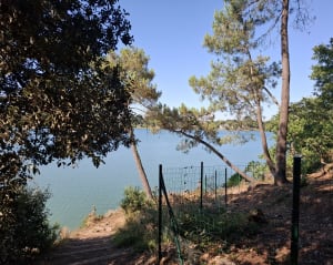 Panorama sur le Golfe - Baden - 9