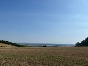 Balade à la découverte de l'oppidum de Montaigu - Émilie - 3