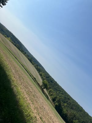 Wandel om het oppidum van Montaigu te ontdekken - Laines-aux-Bois - 2