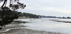 Tour Saint Vincent - Arradon - 4