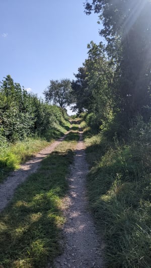 Dans la peau de Vauban au château de Bazoches - Bazoches - 4