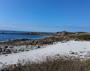 Grand tour de l'île de Batz et beauté de ses plages - Île de Batz - 15