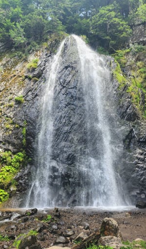 Evasion pédestre à la Cascade du Saut du Loup - Mont-Dore - 5