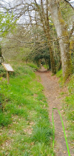 Noyal-Muzillac et balade dans un p'tit coin de paradis - Noyal-Muzillac - 2