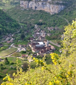 Petite aventure forestière à la Croix de Suchot de Baume-les-Messieurs - Baume-les-Messieurs - 21
