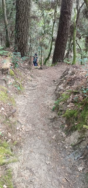 Marche à Saint Georges de Didonne, par la Pointe de Suzac - Saint-Georges-de-Didonne - 16