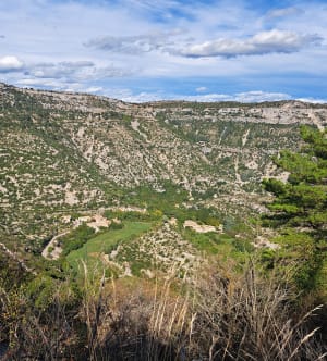 Panoramisch uitje naar het Belvedere van Baume-Auriol en het keteldal van Navacelles - Saint-Maurice-Navacelles - 31