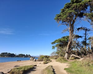 Boucle de la Plage de Tourony - Trégastel - 7