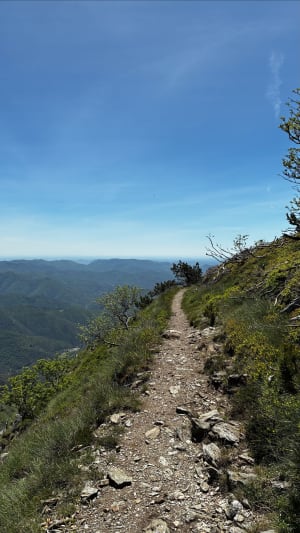 Wandelen naar Mont Aigoual - Val-d'Aigoual - 20