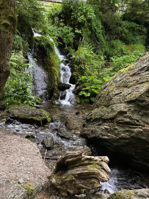 Grande cascade Mont Dore et vue sur le Puy de Sancy - xavier - 19