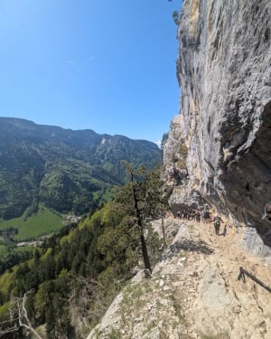 Belvédère du Pas du Roc - Fillière - 21