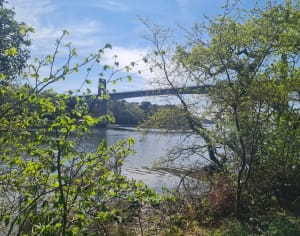 Les bords du Blavet en passant par le cimetière de bateaux - Lanester - 8