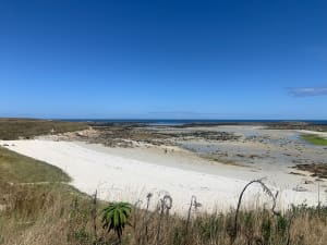 Île de Batz et concentré pur jus de Bretagne - Île de Batz - 14