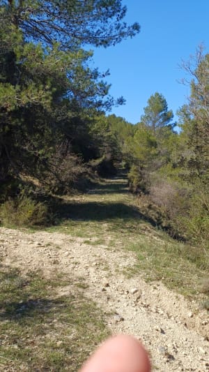 Gorges de La Nesque depuis Malemort-du-Comtat - Malemort-du-Comtat - 4
