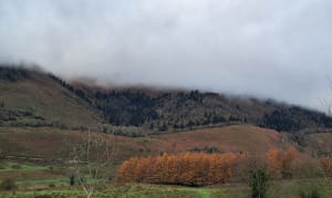 Het Bénou-plateau en zijn prachtige weilanden - Bilhères, Arudy - 19
