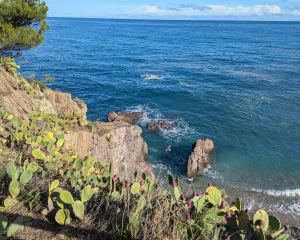 Sentier du littoral - Argelès-sur-Mer - 39