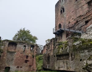 A l'assaut des châteaux de Windstein et ses voies d'escalade - Windstein - 12