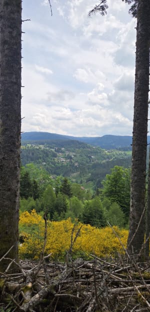 Saut de la Bourrique et Tête de Mérelle à Géradmer - Gérardmer - 43