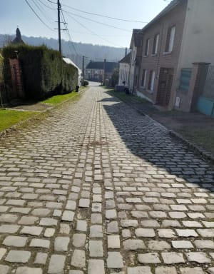 Le bois de Sus Saint Léger - Sus-Saint-Léger - 7