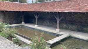 Saint-Nom à l'Allée royale de Villepreux par champs et bois - Saint-Nom-la-Bretèche - 5