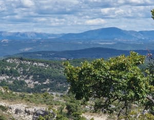 Les Moures la Citadelle de Forcalquier - Forcalquier - 18