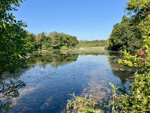 Tour depuis l'étangs de Charray, par le Marteray - Vézeronce-Curtin - 5