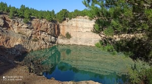 Rondleiding door de blauwe lagune en het prachtige struikgewas - Maussane-les-Alpilles - 41