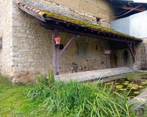 Balade du Bois Jailleu au Château de Chapeau Cornu - Vignieu - 9