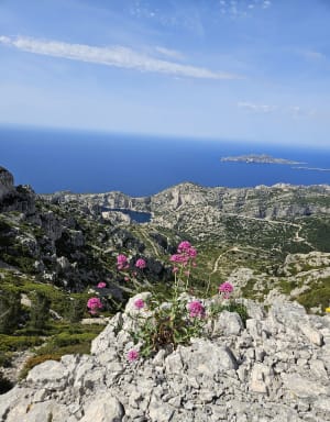Ascension du Mont Puget et vue époustouflante - Marseille - 12