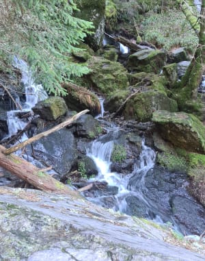 De grote waterval van Mont-Dore en zijn onweerstaanbare charme - Mont-Dore - 50