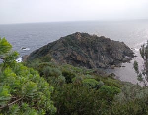 Randonnée du Cap Lardier au Cap Taillat - La Croix-Valmer - 24