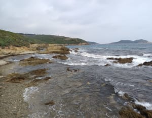 Randonnée du Cap Lardier au Cap Taillat - La Croix-Valmer - 25