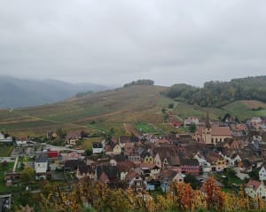 Entre Turckheim et Niedermorschwihr avec son clocher vrillé - Turckheim - 15