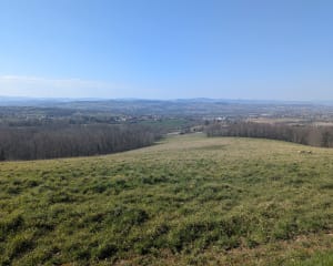 Marche Chasselay et le Lurin - Chasselay - 5