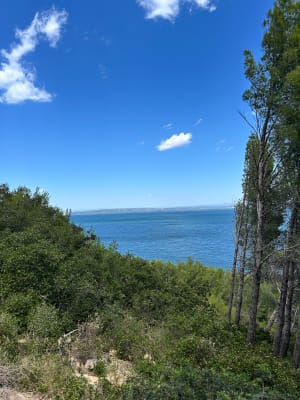 Déconnexion totale autour du parc de Figuerolles - Martigues - 5