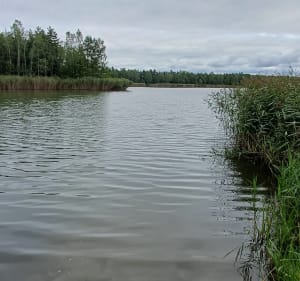 Jaworzno Sosina - Jaworzno - 2