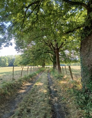 Balade autour de Contamine-sur-Arve - Contamine-sur-Arve - 5