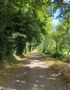 Balade autour de Contamine-sur-Arve - Contamine-sur-Arve - 7