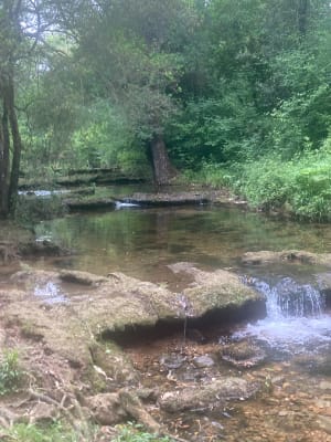 Balade dans les sentiers du Parc des Bouillides - Valbonne - 3