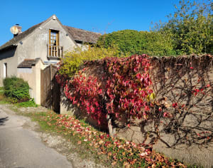 Sentier de la vallée des Cailles - Boncourt - 4