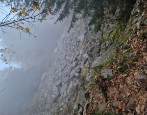 Petit tour du Lac Noir et visite électrisante - Pairis - 22