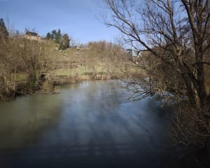 En suivant la rivière à Vivonne - Vivonne - 8
