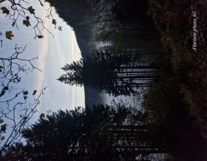 Petit tour du Lac Noir et visite électrisante - Pairis - 24