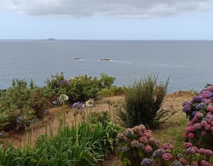 Balade cool de la pointe du château en passant par la ville. - Perros-Guirec - 14