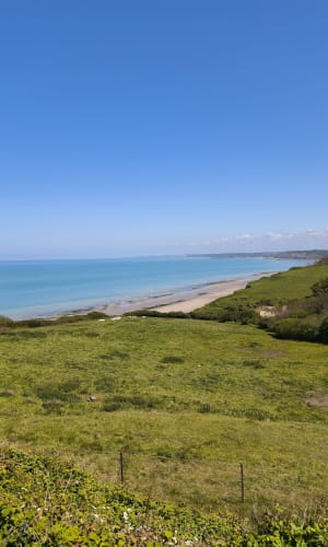 Entre plage et bois à Varengeville - Varengeville-sur-Mer - 12